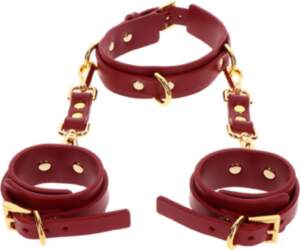 Taboom D-Ring Collar & Wrist Cuffs