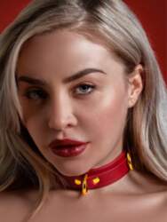 Taboom D-Ring Collar Deluxe