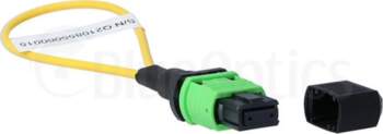 BlueOptics Loopback Adapter MPO/MTP Singlemode SM