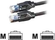 Datwyler DATWYLER - Patch-Cable - RJ-45