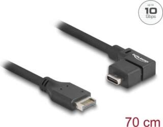 DeLOCK USB 10 Gbps kabelis Type-E