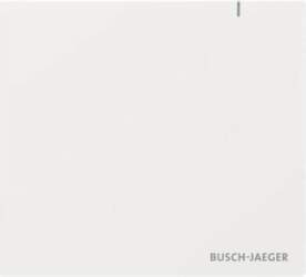 BUSCH JAEGER System Access Point 3