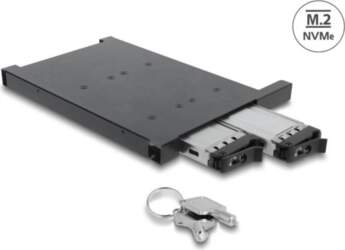 Delock Adapter Frame for 2 x