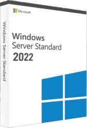 Microsoft Windows Server 2022 Standard (licence)