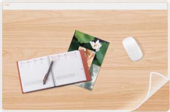 CEP Office Solution Desk Pad Plastic