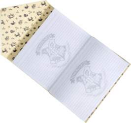 Thumbs Up BlueSky Notebook Harry Potter