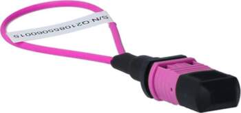 BlueOptics Loopback Adapter MPO/MTP Multimode OM4