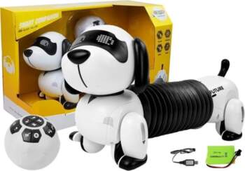 LEAN TOYS Interactive Robot Dog Remote
