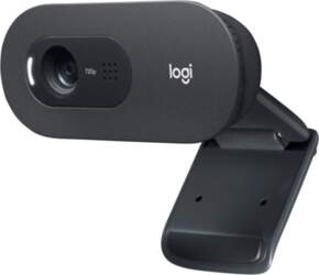 LOGITECH C505e Webkamera USB Melna