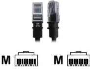 PatchSee BasicPatch - Patch-Cable - RJ-45