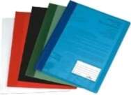 DURABLE DURALUX Quick Binder A4 Plastic