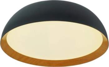 LED LENSER CEILING LED LIGHT SIAN