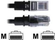 PatchSee BasicPatch - Patch-Cable - RJ-45