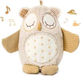 Cloud b Nighty Night Owl Smart