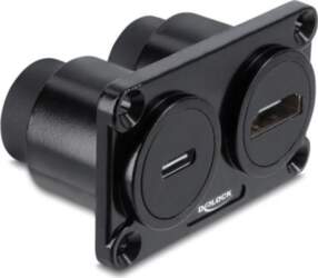 Delock Dual Panel Mount USB-C 10