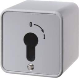 Hager WDE4466 Key Switch Surface-Mounted for