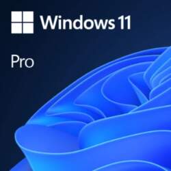 MICROSOFT Windows 11 Pro 64bit OEM