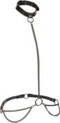 CalExotics Euphoria Chain Halter Collar &