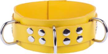 Red Leather Adjustable Yellow Collar -