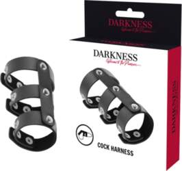 Darkness Adjustable Dual Leather Intimate Ring