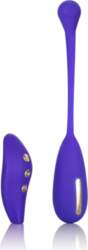 CalExotics eStim Remote Kegel Exerciser -