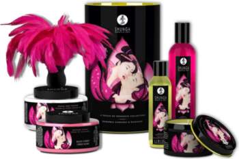 Shunga Touch of Romance Gift Set