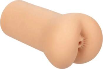 CalExotics Boundless Model - Anatomical Brown