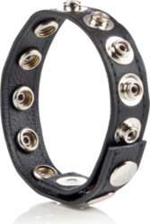 CALEXOTICS COLT Leather C/B Strap 8-snap