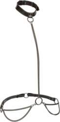 CalExotics Euphoria Chain Halter & Leash