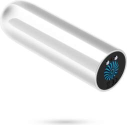 Crushious Quackers USB Rechargeable Intimate Bullet