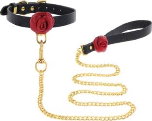 TABOOM Wild Roses Collar & Leash