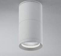Egger Licht Egger DLS downlight CL