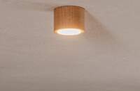 Envostar Ernest Downlight GX53 no koka