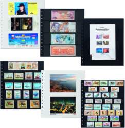 Leuchtturm LIGHTHOUSE R-sheets, 2-way division, black