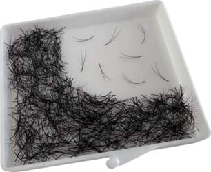 Riga Lashes 2D C / CC