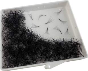 Riga Lashes 5D C / CC
