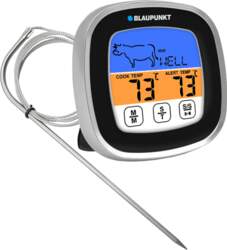 Blaupunkt FTM501