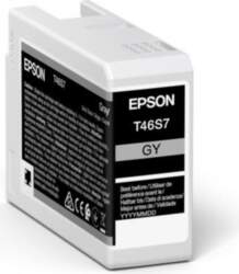 Epson T46S7