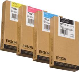 Epson T612200