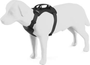Thule Cappy L