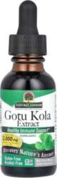 Gotu Kola Extract - 30 ml