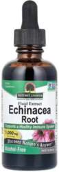Echinacea Root, 1000mg - 60 ml