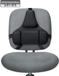 Fellowes Ergonomics professional back support pillow