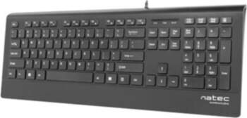 Natec Keyboard, Barracuda, US Layout, Slim