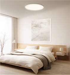 Xiaomi Smart Ceiling Light D40 |