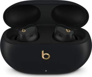 Apple STUDIO BUDS + TRUE WL