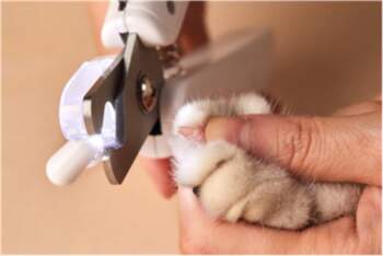 PETKIT  | LED Light Nail Clipper