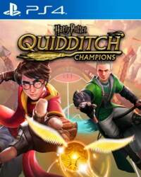 Warner Bros. Harry Potter Quidditch Champions