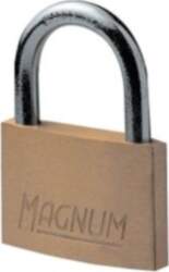 Master Lock CAD60 | Brass Padlock