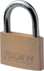 Master Lock CAD30 | Brass Padlock